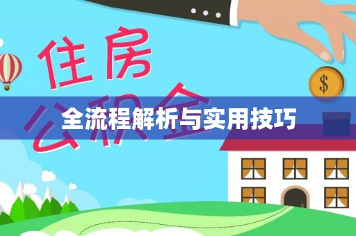 绥滨全流程解析与实用技巧