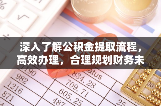 绥滨深入了解公积金提取流程，高效办理，合理规划财务未来