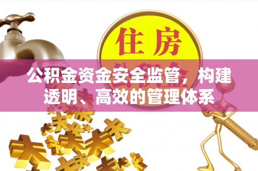 绥滨公积金资金安全监管，构建透明、高效的管理体系
