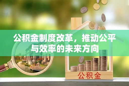 绥滨公积金制度改革，推动公平与效率的未来方向