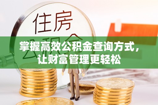 绥滨掌握高效公积金查询方式，让财富管理更轻松