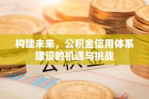 绥滨构建未来，公积金信用体系建设的机遇与挑战