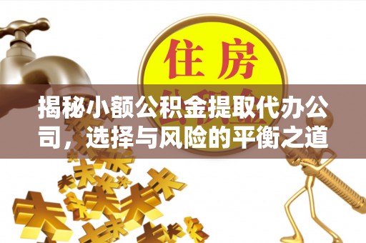 绥滨揭秘小额公积金提取代办公司，选择与风险的平衡之道