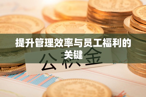 绥滨提升管理效率与员工福利的关键