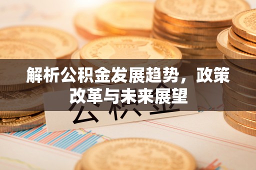 绥滨解析公积金发展趋势，政策改革与未来展望