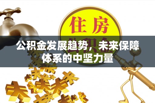 绥滨公积金发展趋势，未来保障体系的中坚力量