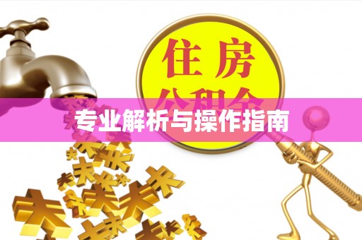 绥滨专业解析与操作指南