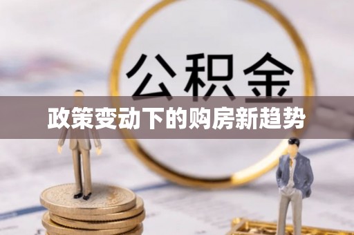 绥滨政策变动下的购房新趋势