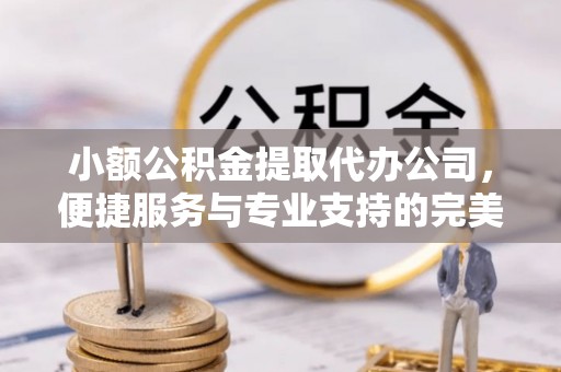 绥滨小额公积金提取代办公司，便捷服务与专业支持的完美结合