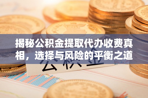 绥滨揭秘公积金提取代办收费真相，选择与风险的平衡之道