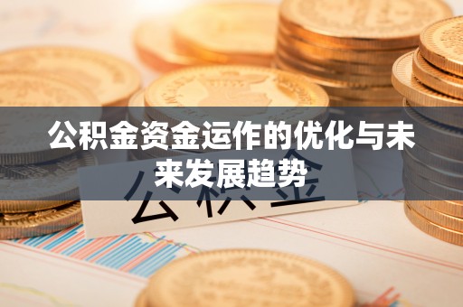 绥滨公积金资金运作的优化与未来发展趋势