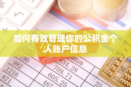 绥滨如何有效管理你的公积金个人账户信息